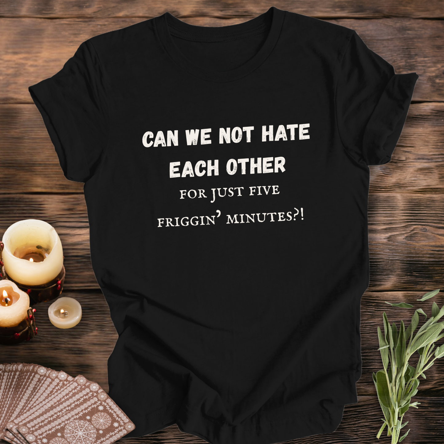 Can We Not Hate Each Other ... Sassy Tee