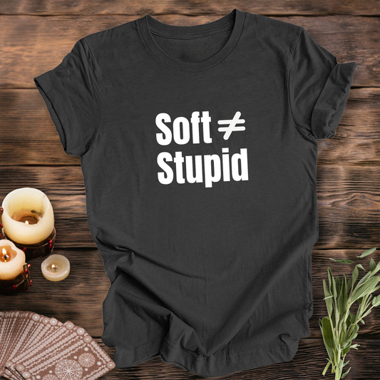 Soft Does Not Equal Stupid...Sassy Tee
